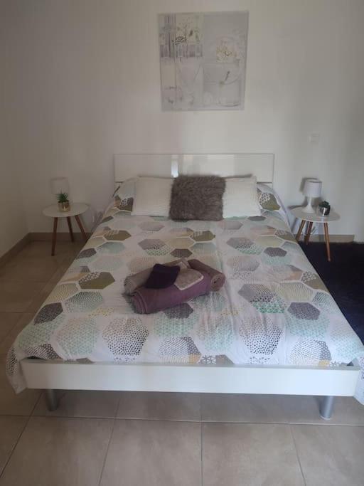 Appartement Romana Puissalicon 34 エクステリア 写真